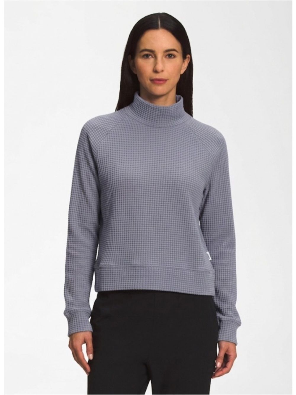 The North Face Chabot Mock Neck Long Sleeve Size S Blue